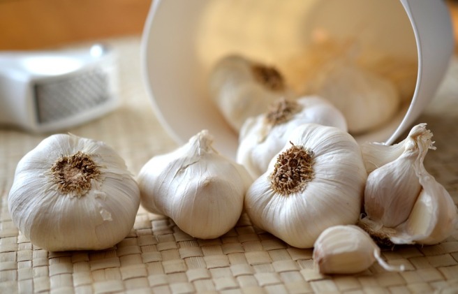 Garlic Picture
